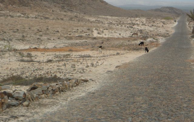 La strada che porta a Bofareira